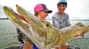 We did not find results for: Greatest Musky Fishing Day Ever 12 Muskies In One Day Epic Topwater Youtube
