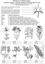 Outdoor Skills Curriculum Guide Lesson Plans Science Biology Botany Patterns In Plants With Shanleya S Quest Plant Identification Biology Worksheet Botany