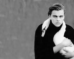 Koczeynep adlı kullanıcının koleksiyonu • son güncelleme: Leonardo Dicaprio Hd Wallpapers 7wallpapers Net