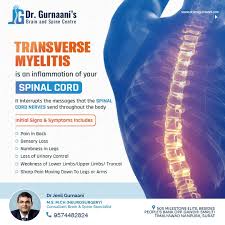 Image result for Myelitis