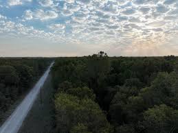 Louisiana Land for Sale between 201 and 500 Acres
