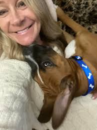 My RIP is a pretty boy but he constantly wants his hips rubbed so this is  the view he gives me much of the time.