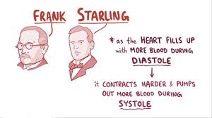 Lehrbuch der physiologie des menschen. Frank Starling Relationship Osmosis