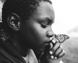 Art & Life with Amy Reichenbach