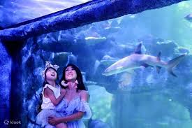 Sea Life Sydney Aquarium Ticket Klook