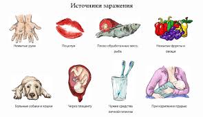 Https Wemarus Ru Teh Kak Proverit Est Li Glisty U Menja Html