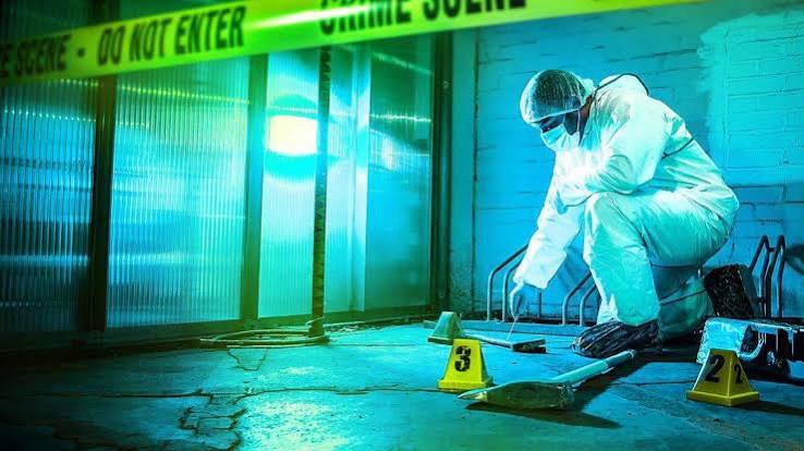 True crime cases on BBC iPlayer now - BBC