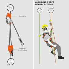 Note that k can have at most two closest ascenders: Ct Quick Roll Hand Ascender Right Aspiring