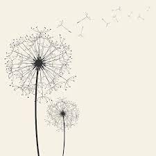 Dandelions Vector Art Illustration Dandelion Drawing Dandelion Art Dandelion Painting
