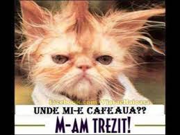 Trezitul Cu Noaptea N Cap