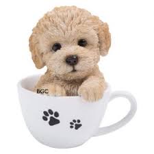Shop for garden statues in patio & outdoor decor. Labradoodle Puppy In A Tea Cup Vivid Arts Discontinued Bridgend Garden Centre