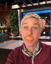 How much is Ellen worth? The comedian's bio, age, height, house, daughter  rumors