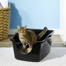 Nature S Miracle Just For Cats Advanced High Sided Cat Litter Box Chewy Com