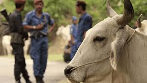 Antaranya, isu pemindahan kuil dari seksyen 19 ke 23 shah alam. Agama Rakyat Malaysia