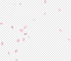 Maybe you would like to learn more about one of these? Kelopak Bunga Mawar Naik Kelopak Mawar Kelopak Jatuh Png Pngwing