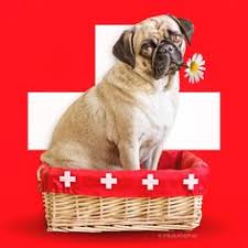 Das einzige cookie, was auf dieser seite gesetzt wird, speichert die zeit, wann ihr diesen text weggeklickt habt. 58 Nationalfeiertag 1 August Ideen Nationalfeiertag Schweiz August