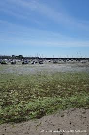 Pornichet Entre Pierres Et Mer Une Balade Sur La Presqu Ile De Guerande Pornichet Loire Atlantique Touriste