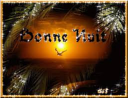 Résultat de recherche d'images pour "bon nuit gif"