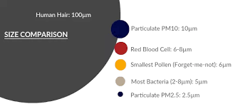 Pm2.5 are tiny particles in the air that reduce visibility and cause the air to appear hazy when levels are elevated. Which Is Greater Pm10 Or Pm2 5 Why Quora