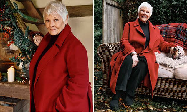 My eyesight's getting worse, I fear I will lose the plot and maybe Harvey Weinstein deserves forgiveness', says Dame Judi Dench as she turns 91 | Daily Mail Online