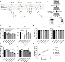 Image result for pakt ribbentrop-mo