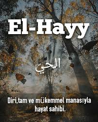 El Hayy Hayat Sahibi Ezeli Hayata Sahip Olan O Hayy Dir O Ndan Baska Ilah Yoktur Oyleyse Dini O Na Halis Kilanlar O Instagram Posts Instagram Poster