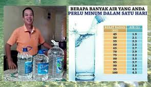 Orang dewasa disarankan untuk minum air minimal 8 gelas sehari atau setara dengan 2 liter. Zubli Zainordin Air Dan Manusia Pendapat Pakar Serta Logik Penerimaan Kita Steemit
