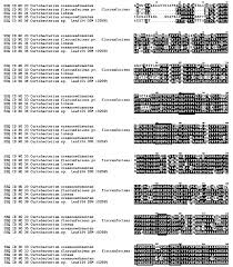 Bitte geben sie eine niedrigere zahl ein. De102017125559a1 Cleansing Compositions Containing Dispersine Ii Google Patents