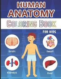 The wall of the heart is made up of three layers: Human Anatomy Coloring Book For Kids Over 50 Human Body Coloring Pages Great Gift For Boys