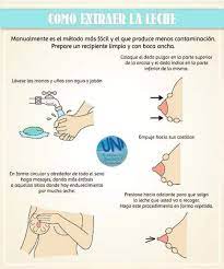 Nutri Go Extraccion Manual De Leche Materna Conocer La Tecnica De Extraccion Manual De Leche Materna Quiza Deberia Ser Como Una Materia Obligatoria Para Todas Las Embarazadas Deberia Pero Eso Ya