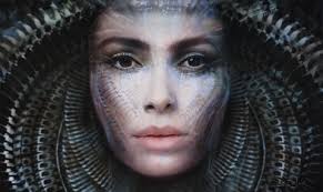 Blair Stencil -Biomechanical Set Large size