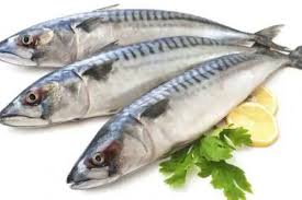 Ikan kembung 600 gram (boleh di ganti dengan. Meski Murah Ini 8 Khasiat Yang Kamu Dapat Dari Konsumsi Ikan Kembung