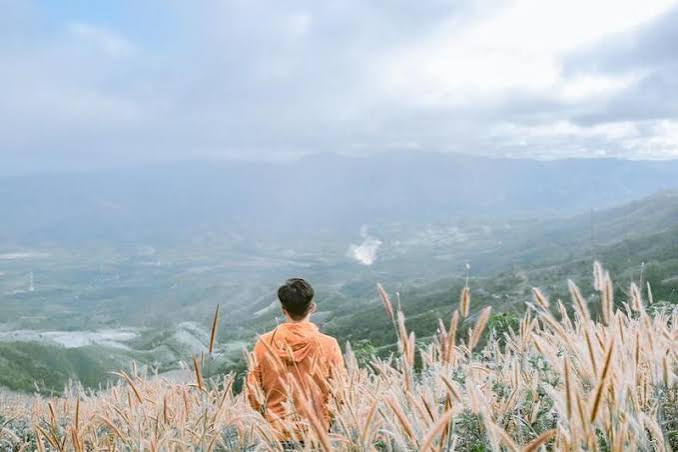 Nét Đẹp Quyến Rũ Của Đồi Cỏ Lau Măng Đen - Măng Đen Trip