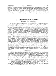 Image result for Danthoniopsis viridis