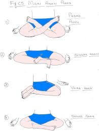 Image Result For Yoga Asanas In Hindi Pdf Yoga In Hindi Yoga Anatomy Chakra