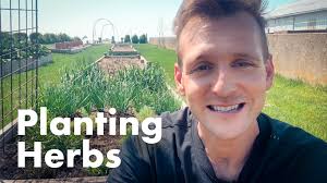 VIDEO: Herb Gardening 101 with Wyse Guide