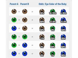 Genetics Experts What Colour Will My Babys Eyes Be