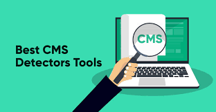 Why hide wordpress theme name? Cms Detectors 8 Best Tools To Check What Cms Is This Website Using