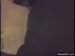 We did not find results for: Possibly In Michigan Excerpt On Make A Gif