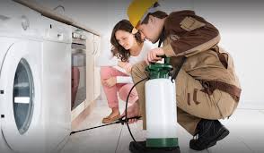How does pest control work? How Often Is Pest Control Service Needed Better Housekeeper