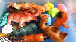 Learn Animals Name With Wild Animals Farm Animals Educational Video For Animals Wild Animals Educational Videos