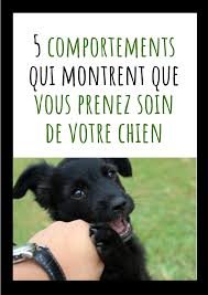 Epingle Sur Les P Tits Loups Mouah