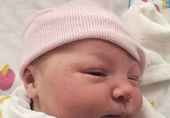 Powder River Examiner Archives