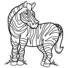 Coloring Pages Online: Zebra Coloring