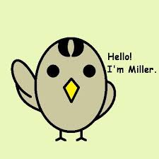 Hello I M Miller