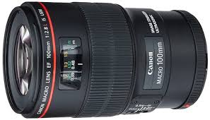 Maybe you would like to learn more about one of these? What S The Best Lens For Wedding Photography Top Picks 2021