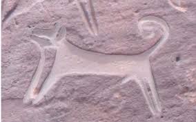 Antique 19th century hunting dog rifle birds falcon woodcock folk art painting. Were Israel S Canaan Dogs Man S Best Friends 9 000 Years Ago The Times Of Israel