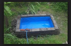 Rumah Ikan Bogor Cara Membuat Kolam Ikan Koi Untuk Pemula