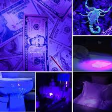 Uv Flashlight Black Light 21 Led 395 Nm Ultraviolet Blacklight For Dog Cat Urine Stains Detector Home Hotel Uv Flashlight Black Light Flashlight Uv Black Light