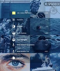 Vsco Filter Blue Eyes Vsco Filter Blue Best Vsco Filters Vsco Filter Instagram